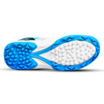 Load image into Gallery viewer, DSC Zooter Cricket Shoes