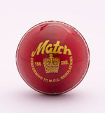 Load image into Gallery viewer, Willow Woods Cricket Ball Match