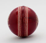 Load image into Gallery viewer, Willow Woods Cricket Test Ball Special