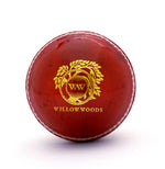 Load image into Gallery viewer, Willow Woods Cricket Ball Match