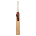 Load image into Gallery viewer, Newbery Igniter Bat