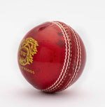 Load image into Gallery viewer, Willow Woods Cricket Ball Match