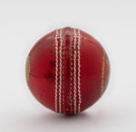 Load image into Gallery viewer, Willow Woods Cricket Ball Match
