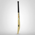 Load image into Gallery viewer, DSC Cricket Bat X-lite 5.0