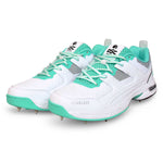 Load image into Gallery viewer, DSC Hawk 2.0 Cricket Shoe