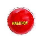 Load image into Gallery viewer, DSC Practice Balls