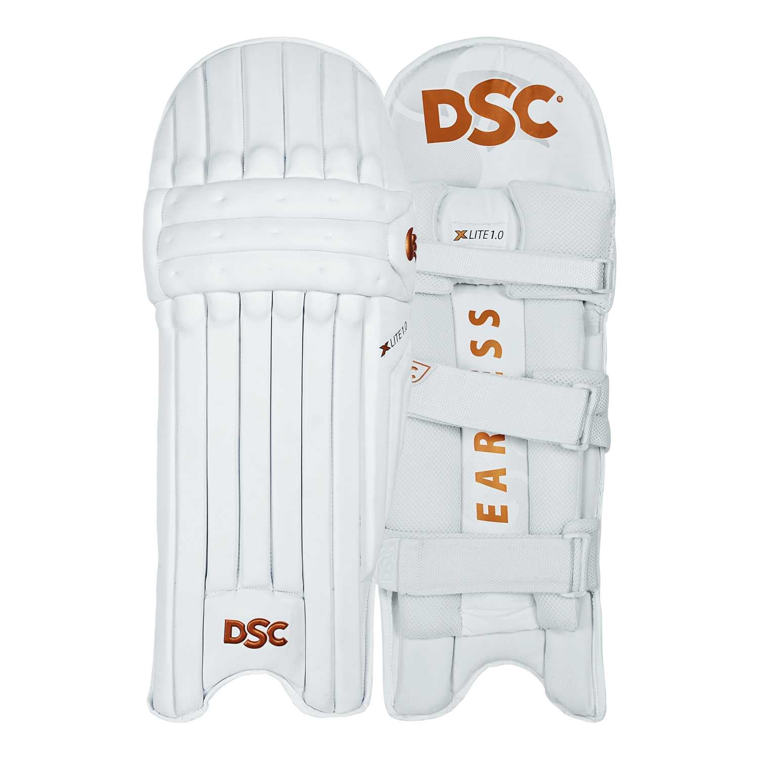 DSC X-Lite 1.0