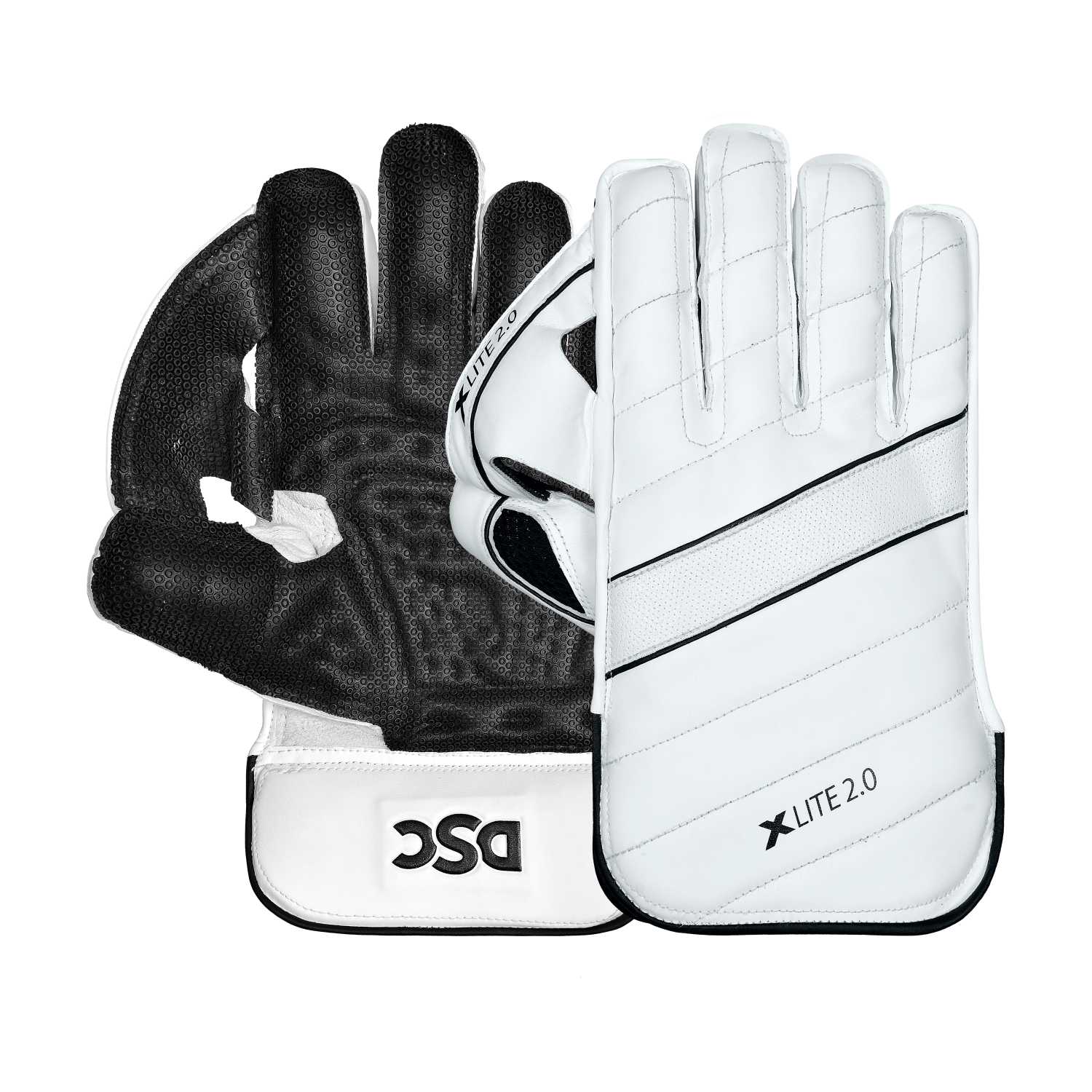 DSC Xlite 2.0 Wicket Keeping Gloves