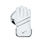 Load image into Gallery viewer, DSC Xlite 2.0 Wicket Keeping Gloves
