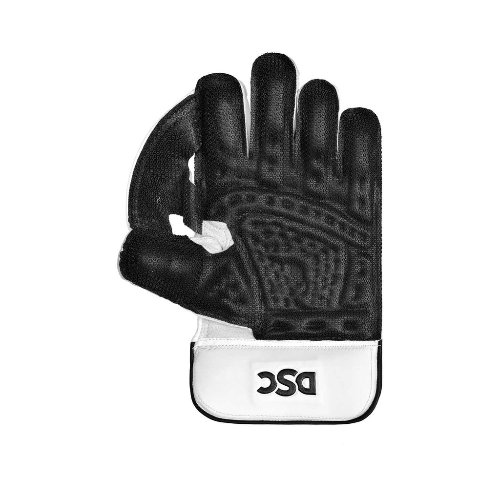 DSC Xlite 2.0 Wicket Keeping Gloves