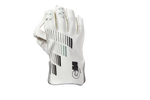 Load image into Gallery viewer, GM 606 Wicket Keeping Gloves
