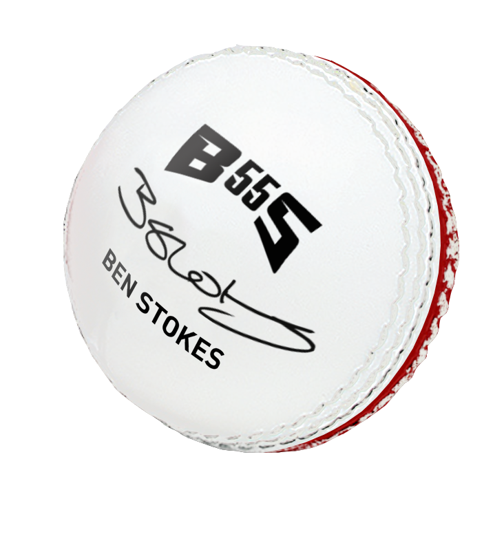 GM Skills Cricket Ball