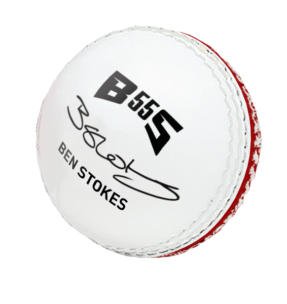 GM Skills Cricket Ball