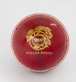 Load image into Gallery viewer, Willow Woods Cricket Test Ball Special
