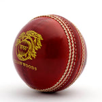 Load image into Gallery viewer, Willow Woods Cricket Test Ball Special
