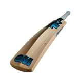 Load image into Gallery viewer, GM Diamond 202 Kashmir Willow Bat
