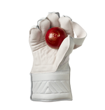 Load image into Gallery viewer, GM Original Wicket Keeping Gloves
