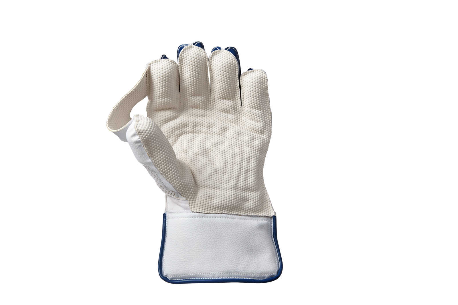 GM Prima Wicket Keeping Gloves